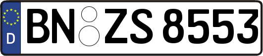 BN-ZS8553