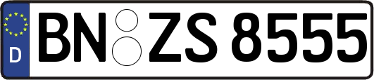 BN-ZS8555