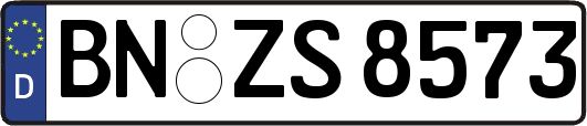 BN-ZS8573