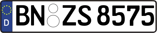 BN-ZS8575