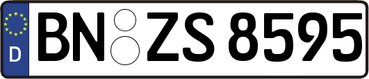 BN-ZS8595