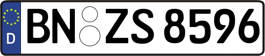 BN-ZS8596