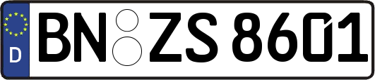 BN-ZS8601