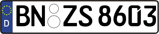 BN-ZS8603