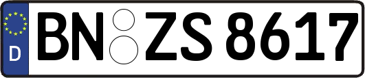 BN-ZS8617