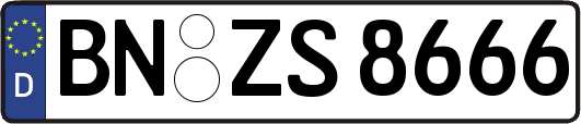 BN-ZS8666