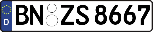 BN-ZS8667