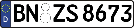 BN-ZS8673