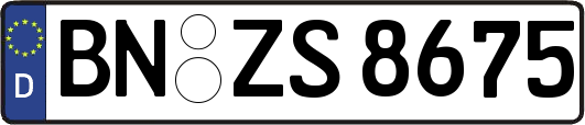 BN-ZS8675