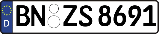 BN-ZS8691