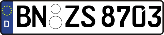 BN-ZS8703