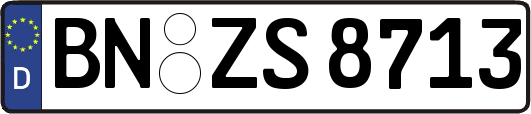BN-ZS8713