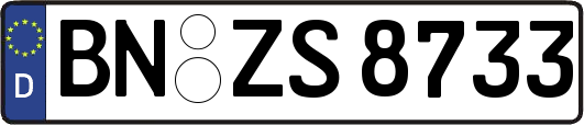 BN-ZS8733
