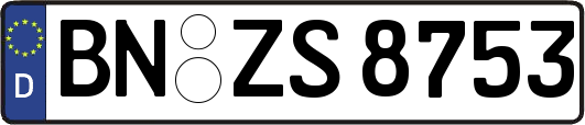 BN-ZS8753