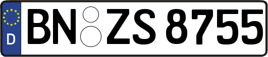 BN-ZS8755