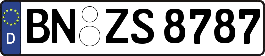 BN-ZS8787