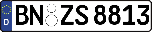 BN-ZS8813