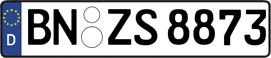 BN-ZS8873