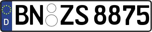 BN-ZS8875