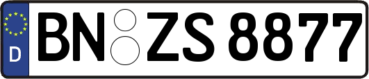 BN-ZS8877