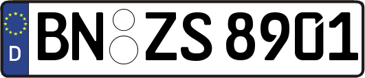 BN-ZS8901