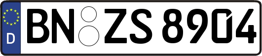 BN-ZS8904