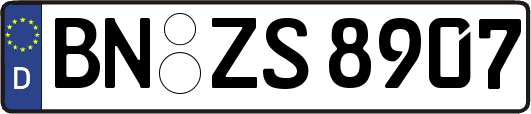 BN-ZS8907