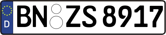 BN-ZS8917