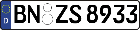 BN-ZS8933