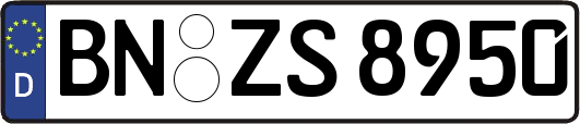 BN-ZS8950