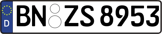 BN-ZS8953