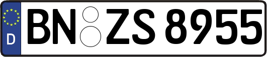 BN-ZS8955