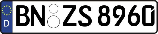 BN-ZS8960
