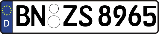 BN-ZS8965