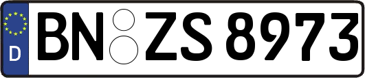 BN-ZS8973