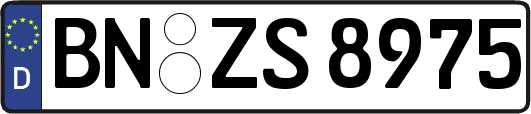 BN-ZS8975