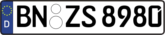 BN-ZS8980