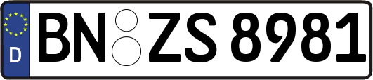 BN-ZS8981