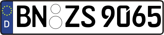 BN-ZS9065