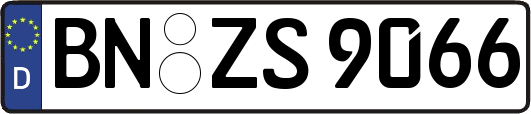 BN-ZS9066