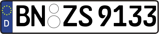 BN-ZS9133