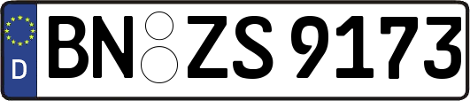 BN-ZS9173