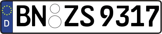 BN-ZS9317