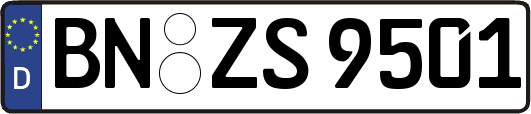 BN-ZS9501