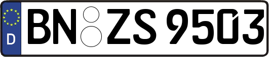 BN-ZS9503