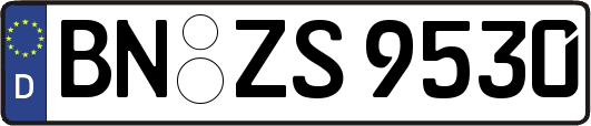 BN-ZS9530