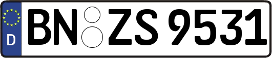 BN-ZS9531