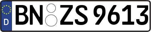 BN-ZS9613