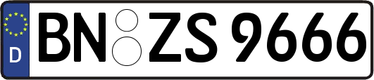 BN-ZS9666