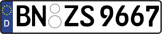 BN-ZS9667